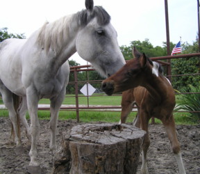 Mom and baby, June 2007