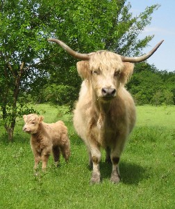 Avalbane and Betty, 25 May 2008