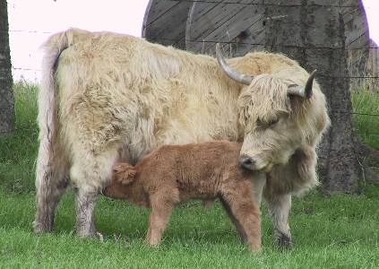 Betty and new baby, Mar 2007, photo by Jan Marusov